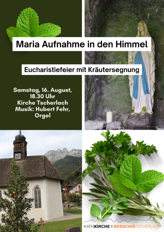 2025_Tscherlach__Flyer__A4__.png 