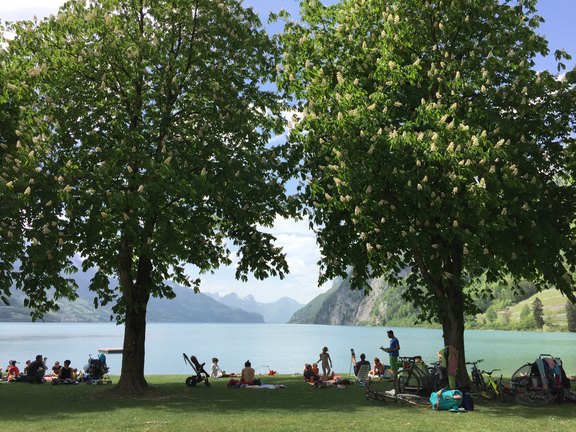 Walensee_GD.JPG 